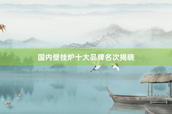 国内壁挂炉十大品牌名次揭晓