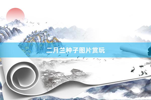 二月兰种子图片赏玩