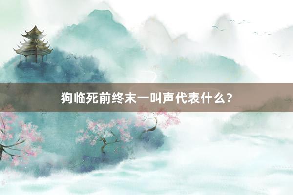 狗临死前终末一叫声代表什么?