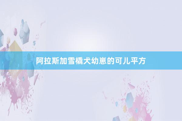 阿拉斯加雪橇犬幼崽的可儿平方